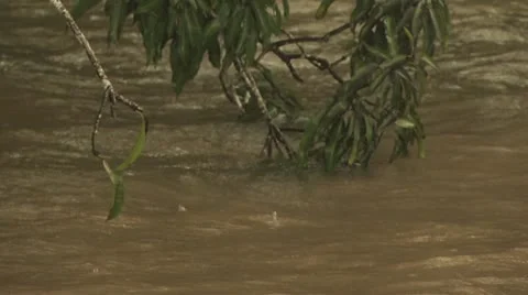 Looking Down On The Amazon River 2 Video stock 19034408