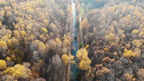 Looking down on autumn forest and river. Kuskovo, Moscow, Russia. 4K Stock Footage 256232674