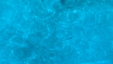 Looking down into Azure tropical waters. Bright blue fish beneath the surface. 스톡 동영상 104581483