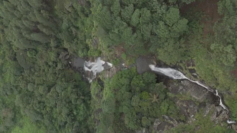 Looking down at Bambarakanda waterfall, Sri Lanka Stock Footage 277586432