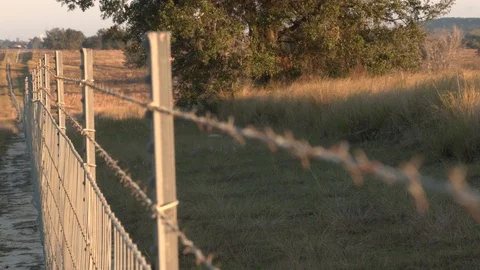 Looking down a barbed wire fence along side a pasture Stock Footage 124146312