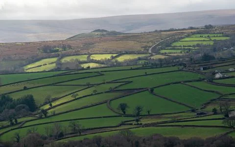 Looking down on beautiful green fields and hedge rows at Widecombe, Dartmoor. Stock Photos