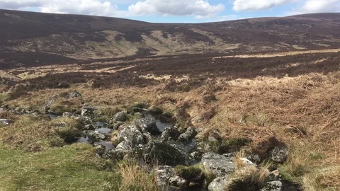 Looking Down on a Beautiful Stream Flowing, Wicklow Mountains, Ireland Stock Footage 89096951