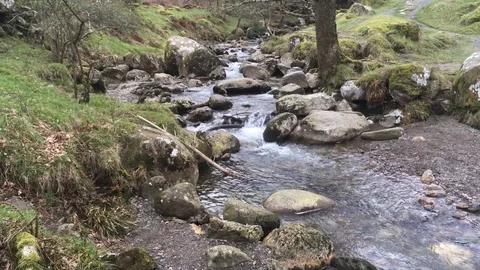 Looking Down on a Beautiful Stream Flowing, Wicklow Mountains, Ireland Stock Footage 89855925