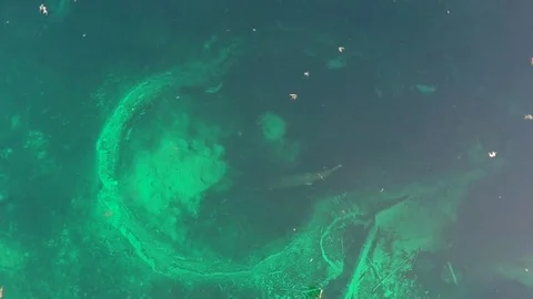 Looking down into Big Springs, Michigan Video stock 81761353