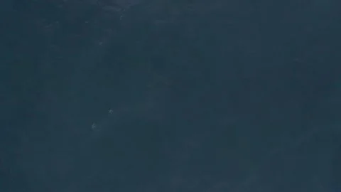 Looking Down On Blue Ocean RAW COLORS Stock Footage 153346441