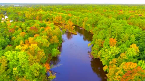 Looking down on blue river through forest of breathtaking Autumn colors Stock Footage 139818262