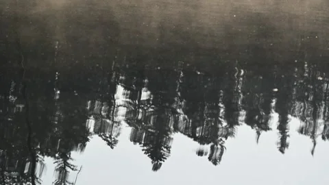Looking down into a calm lake reflecting nearby pine trees as mist drifts across Stock Footage 333074903