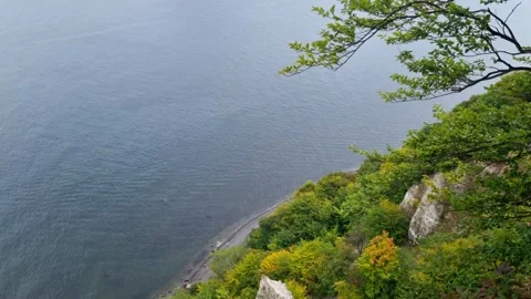 Looking Down a Chalk Cliff to the Beach and Baltic Sea Stock Footage 346411548