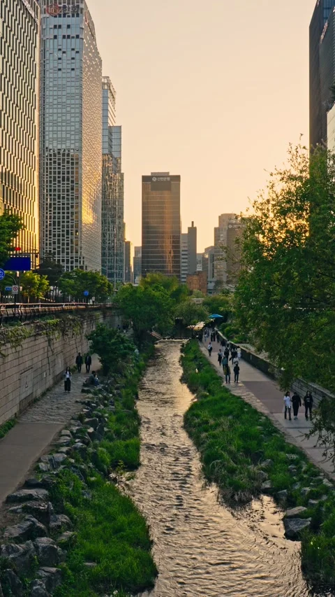 Looking down Cheonggyecheon Stream with city skyline at golden spring sunset Stock Footage 344051524