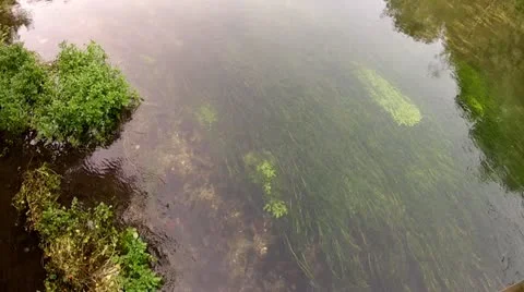 Looking down into clear water from a bridge Stock Footage 11858025