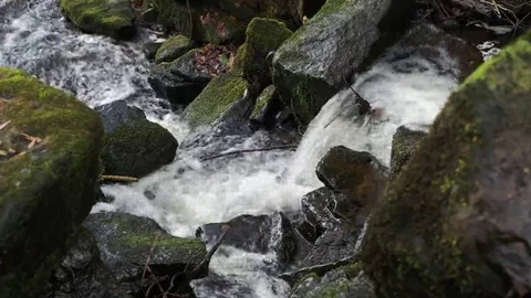 Looking down on Cleddon Falls waterfall AONB Wye Valley on river Wye Stock Footage 69074922