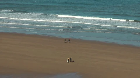 Looking down from cliff top onto beach, couples walking dogs, one throws a ball Stock Footage 2924109