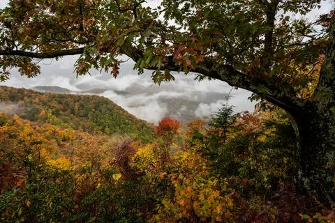 Looking Down On Cloud Inversion Through Fall Colors Foto stock