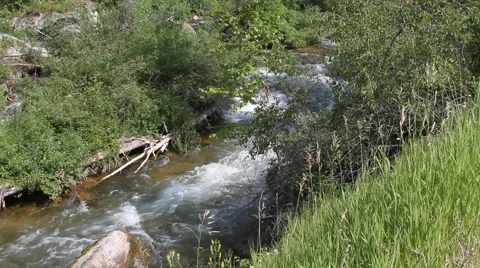 Looking down at creek rapids in a forest Video stock 40344183