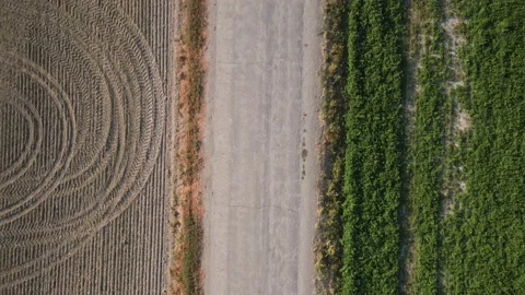 Looking down on dirt road between farmland fields in the countryside Stock Footage 153770500