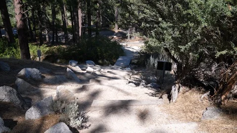 Looking down dirt stairs on trail Stock Footage 93470417