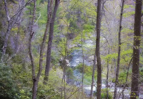 Looking down at the Doe River from a hiking trail Stock Photos