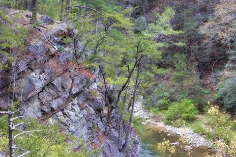 Looking down at the Doe River from a hiking trail Stock Photos