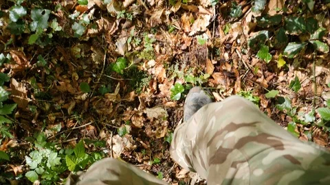 Looking Down at Feet in Slow Motion in a Forest Stock Footage 91137609