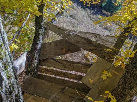 Looking Down into a Field from a Tree Stand or Tree House Stock Photos