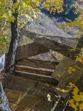 Looking Down into a Field from a Tree Stand or Tree House Stock Photos