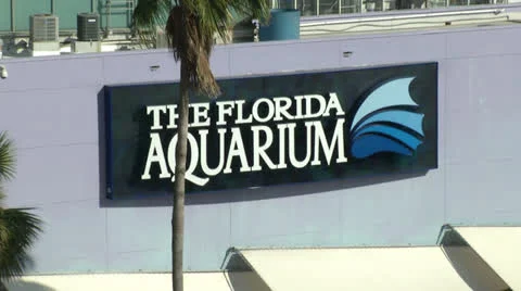 Looking down at the Florida Aquarium Stock Footage 25332085