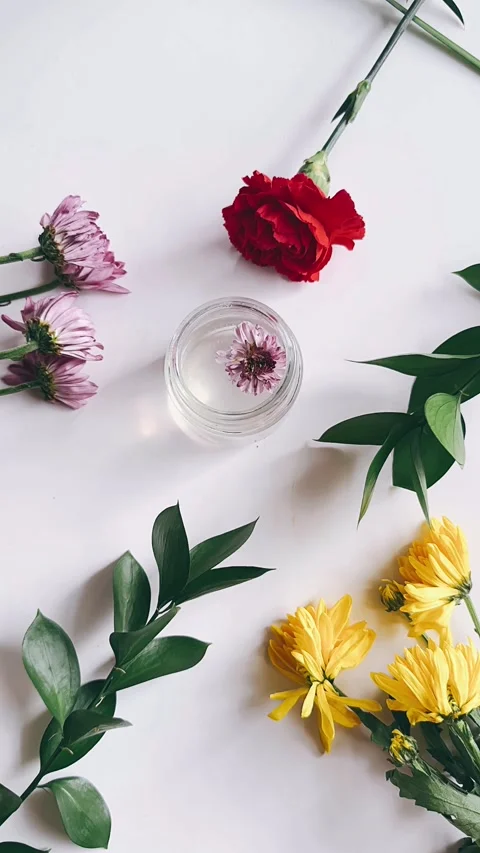 Looking down, flowers against white background Video stock 270323715