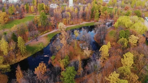 Looking down on forest of breathtaking Autumn colors. winding river, aerial fly Stock Footage 131898293