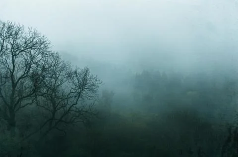 Looking down at a forest on a moody winters day Foto stock