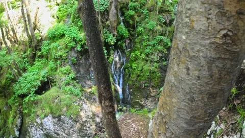 Looking down at a forest stream with beautiful hidden waterfall at the top Stock Footage 229652383