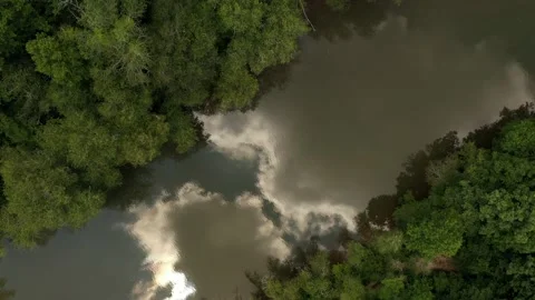 Looking down at forest while passing over peaceful river with cloud reflections Stock Footage 169648549