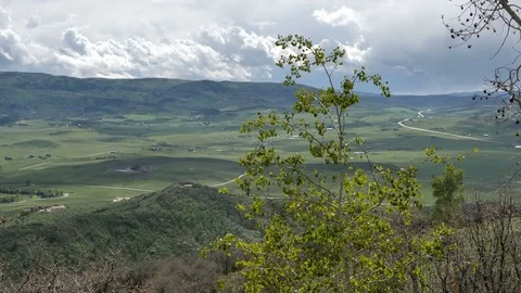 Looking down on green mountain valley young aspen blowing Stock Footage 76596153
