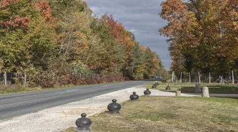 Looking down a lane at a row of trees changing colour Foto stock