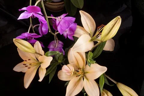 Looking down at lilies and orchids. Stock Photos
