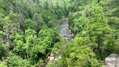 LOOKING DOWN THE LINVILLE RIVER FROM HIGH ABOVE Vídeos de archivo 132290940