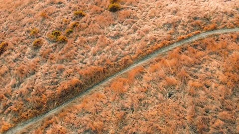 Looking down on the load. Stock Footage 142417973