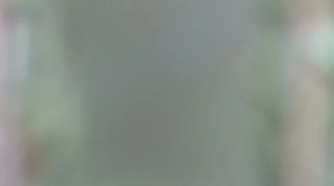 Looking down a long row of books in the library Stock Footage 10774602
