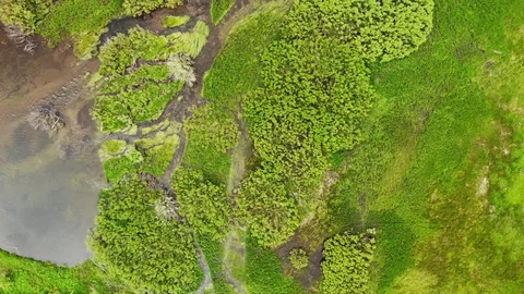 Looking Down at Lush Green Meadow Near Truckee California - Aerial Drone Stock Footage 111987570