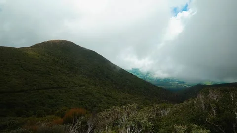 Looking down misty valley New Zealand Stock Footage 260367939