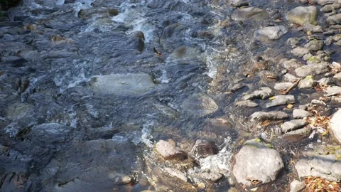 Looking down on mountain river water surface Clear stream making waves Rapi.. Stock Footage 231676631