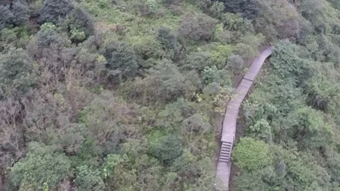 Looking down from the Ngong Ping Cable Car Stock Footage 254577654