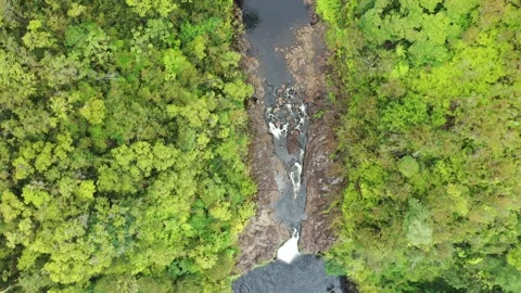 Looking Down Over Akaka Falls Hawaiin Rainforest Trim Vídeo Stock 165138785