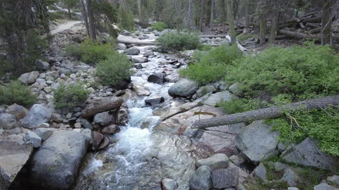 Looking Down over the Middle Fork of the Kaweah River Video stock 228980470