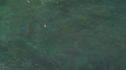 Looking down over surfers in the water 库存影片 246408464
