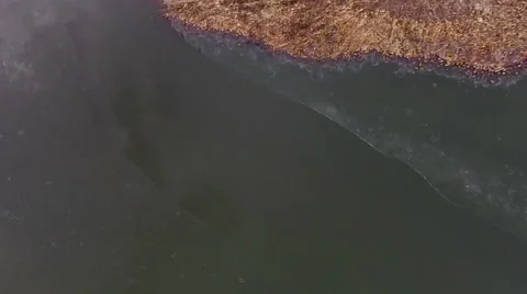 Looking Down Over Trees Video stock 46667031