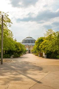 Looking down path in French Paris city centre with domed building in distance Fotos de archivo