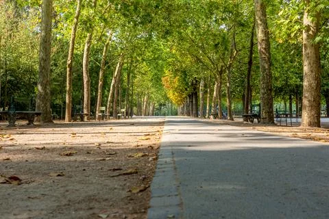 Looking down path at the Jardin Du Luxembourg in Paris city centre with trees Photos