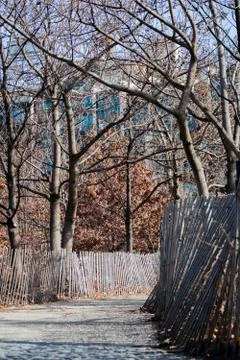 Looking down a pathway in a park 库存照片