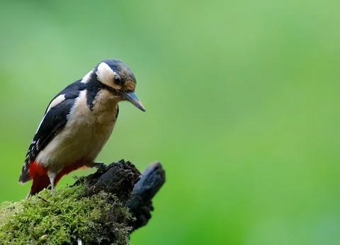 Looking down Stock Photos